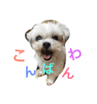 tsukune is happy（個別スタンプ：1）