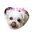 tsukune is happy（個別スタンプ：2）