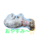 tsukune is happy（個別スタンプ：5）