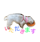 tsukune is happy（個別スタンプ：6）