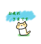 かわいい猫の日常会話集 4 【敬語】（個別スタンプ：13）