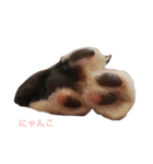 おちびず（個別スタンプ：18）
