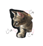 可愛い猫はん（個別スタンプ：7）