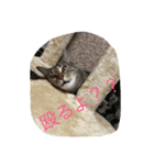 0501m（個別スタンプ：9）
