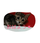 0501m（個別スタンプ：11）
