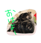ちろるのほのぼの♡（個別スタンプ：2）