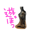 ちろるのほのぼの♡（個別スタンプ：6）