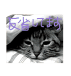 ちろるのほのぼの♡（個別スタンプ：16）