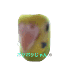 Pちゃんです。（個別スタンプ：5）