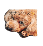 ヒカル日和（個別スタンプ：4）