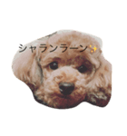 ヒカル日和（個別スタンプ：5）