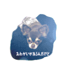 BOSS0329（個別スタンプ：7）