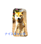 私の家族くう（個別スタンプ：9）
