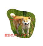 私の家族くう（個別スタンプ：19）