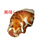 私の家族くう（個別スタンプ：20）