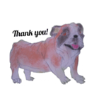 My dog is  cute.（個別スタンプ：3）