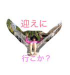 Komo Family（個別スタンプ：7）