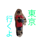 Komo Family（個別スタンプ：14）