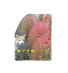 メルたん（個別スタンプ：1）