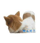 メルたん（個別スタンプ：3）