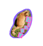 癒やしねこちびくん日常会話（個別スタンプ：5）