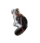 Calpis Cat（個別スタンプ：3）