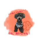 トイプー あずくる（個別スタンプ：4）