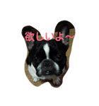 マツモトです。（個別スタンプ：3）