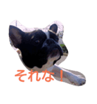 マツモトです。（個別スタンプ：4）