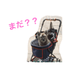 wendy:)（個別スタンプ：7）