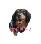 パピックスみんみん（個別スタンプ：6）