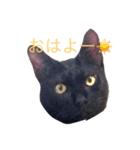 バロンくんスタンプ（個別スタンプ：3）