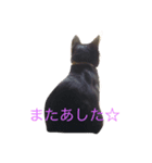 バロンくんスタンプ（個別スタンプ：5）
