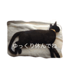 バロンくんスタンプ（個別スタンプ：8）