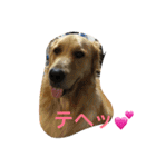 イヴ雅麻里（個別スタンプ：11）