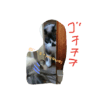 ながーい1日（個別スタンプ：7）