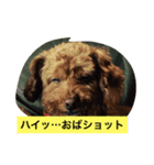 poodollmelody（個別スタンプ：6）
