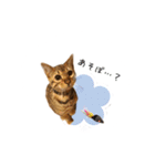 ベンガルの大和さん①（個別スタンプ：8）