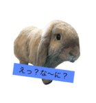 きなこと暮らす2（個別スタンプ：2）