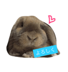 きなこと暮らす2（個別スタンプ：5）