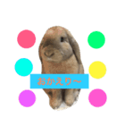 きなこと暮らす2（個別スタンプ：6）