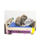 きなこと暮らす2（個別スタンプ：7）