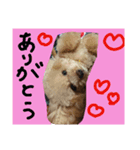 ティーカッププードルのロク♥（個別スタンプ：7）