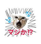 リロ スタンプ（個別スタンプ：1）
