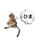 リロ スタンプ（個別スタンプ：4）