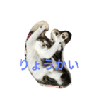 武蔵＆柚子＆蜜柑（個別スタンプ：4）