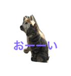 武蔵＆柚子＆蜜柑（個別スタンプ：8）