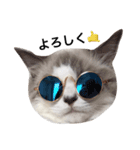 ねこの小判さんのすたんぷ（個別スタンプ：4）