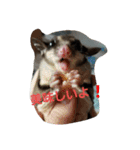愉快なフクモモズ（個別スタンプ：2）