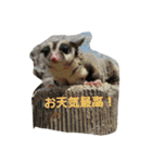 愉快なフクモモズ（個別スタンプ：11）